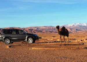 circuit desert 4x4 tours 1