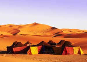 camp desert