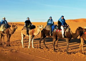 excursion dune camel 5