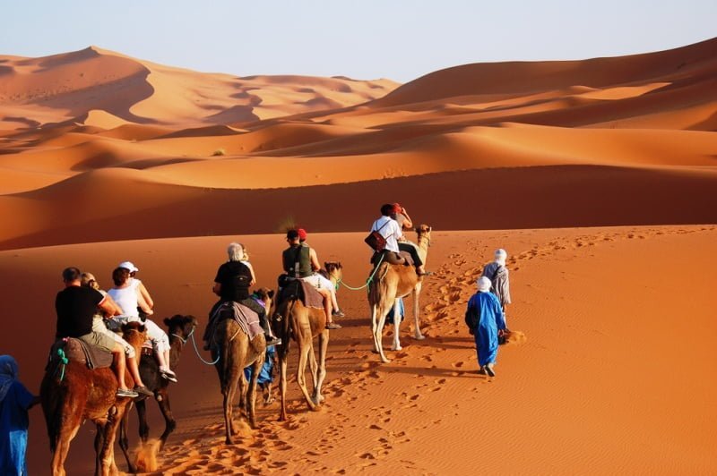 camel trekking merzouga 1